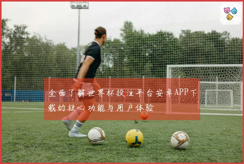 全面了解世界杯投注平台安卓APP下载的核心功能与用户体验