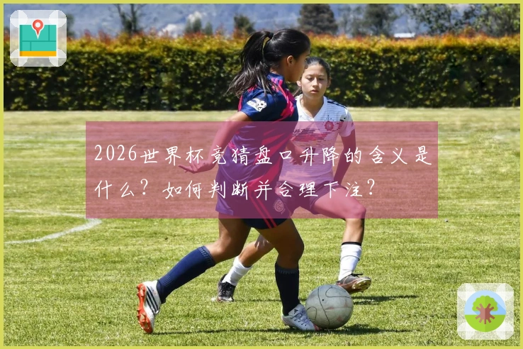 2026世界杯竞猜盘口升降的含义是什么？如何判断并合理下注？
