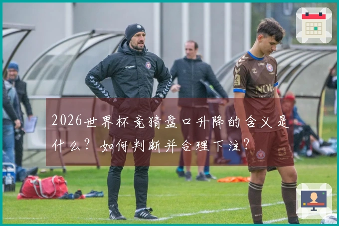 2026世界杯竞猜盘口升降的含义是什么?如何判断并合理下注?