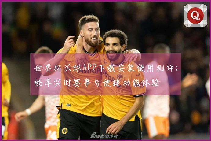 世界杯买球APP下载安装使用测评：畅享实时赛事与便捷功能体验