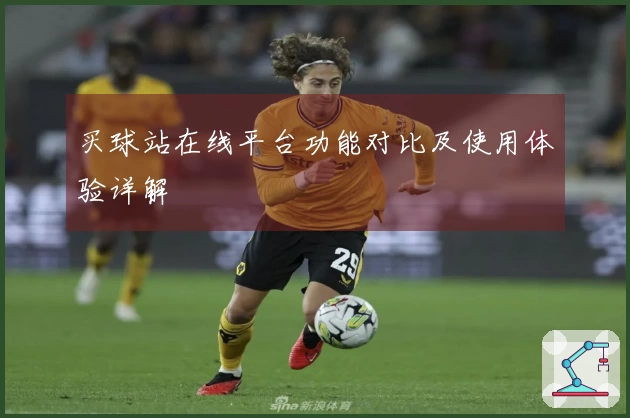 买球站在线平台功能对比及使用体验详解