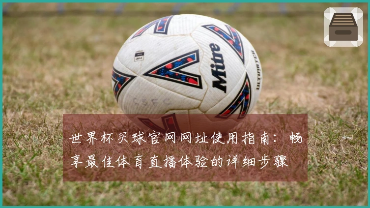 世界杯买球官网网址使用指南：畅享最佳体育直播体验的详细步骤