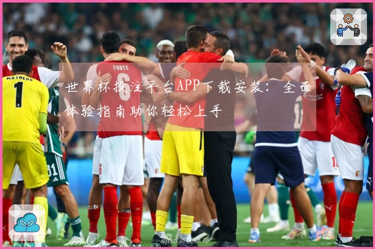 世界杯投注平台APP下载安装：全面体验指南助你轻松上手