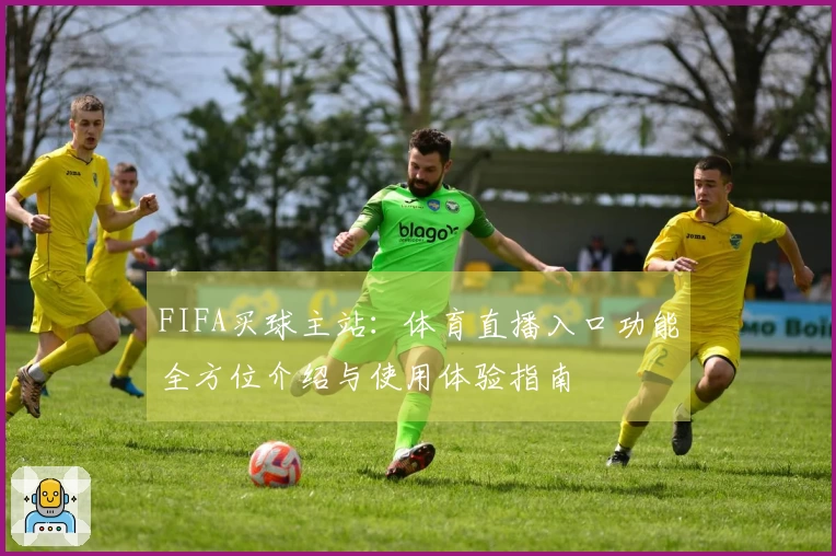 FIFA买球主站：体育直播入口功能全方位介绍与使用体验指南