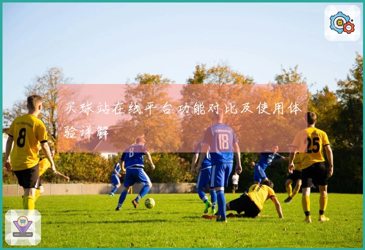 买球站在线平台功能对比及使用体验详解